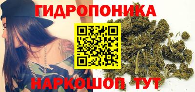 прущие грибы Краснокаменск