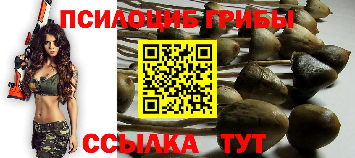Галлюциногенные грибы мухоморы  Вход с VPN  Каменск-Уральский  Псилоцибиновые грибы Magic Shrooms 